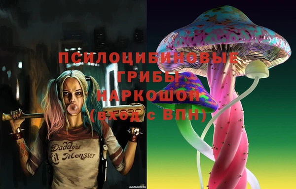 мдма Краснослободск