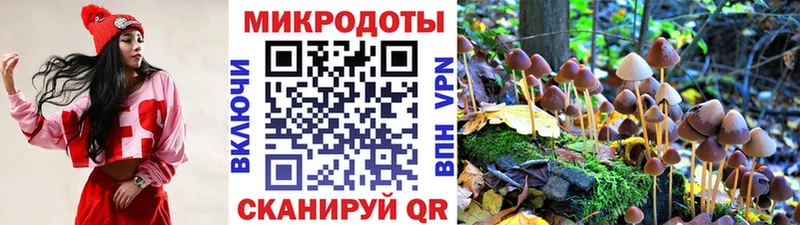 Псилоцибиновые грибы GOLDEN TEACHER Никольск